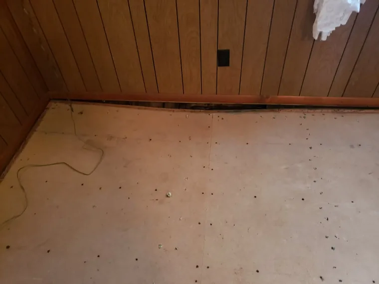 Flooring Repair & Installation in Northwest Arkansas — Mr. Fixit of NWA
